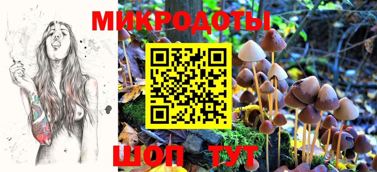 Псилоцибиновые грибы мицелий Солнечногорск