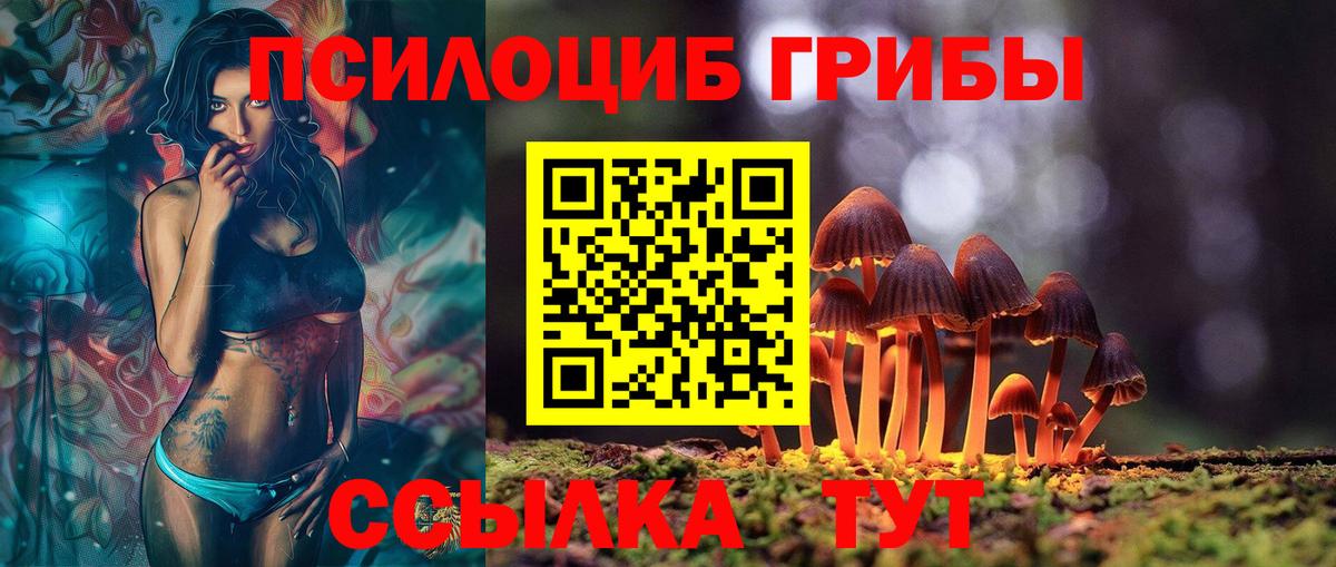 Галлюциногенные грибы мухоморы  Вход с VPN  где можно купить   Солнечногорск 